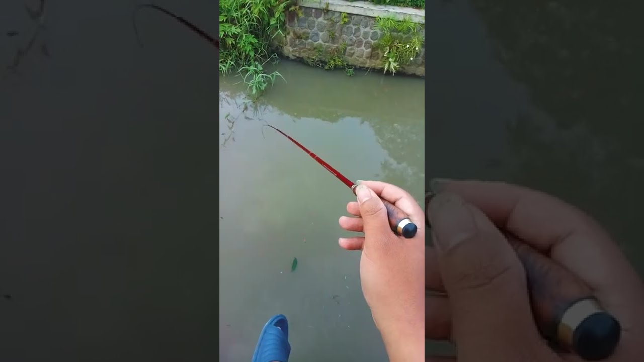 REVIEW ACTION JORAN ISPULL TANAGO PREMIUM ITP II 4'