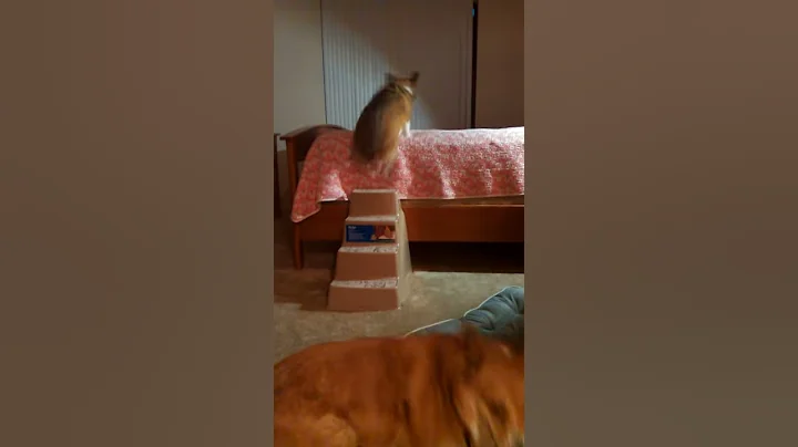 VID_20130430_194...
