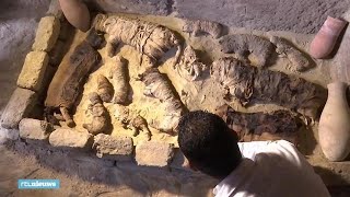 Zeldzame Vondst Tientallen Kattenmummies In Piramidecomplex - Rtl Nieuws