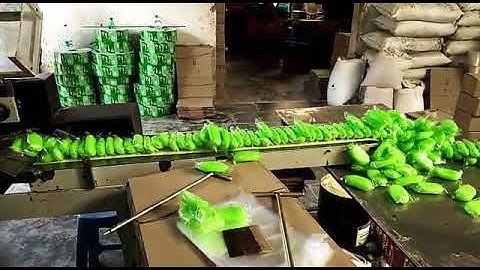 Flow wrap machine PAC-FLOW99