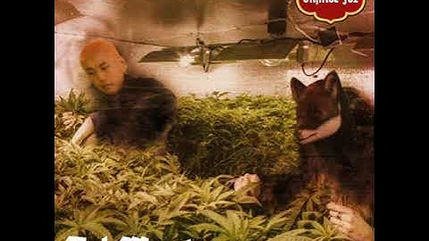 ORANGE FOX - BANG (Feat. Nubset)