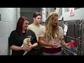 ADTV Episode Featuring Dorchester Paws, Historic Summerville, SC, &amp; Pumas Italian Ice  &amp; Hot Dogs