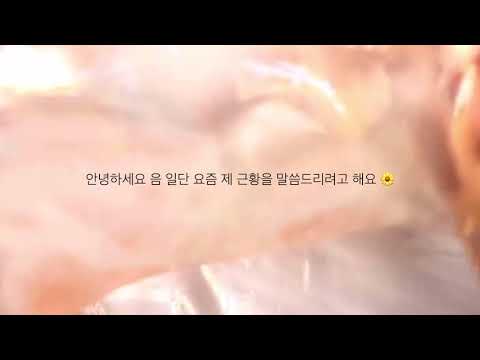 오랜만 잉엥용 🌼 몽글님 영상 액괴 시리즈 근황 시리즈 소규모 시리즈 고딕 시리즈 산돌고딕 액괴 유튜버