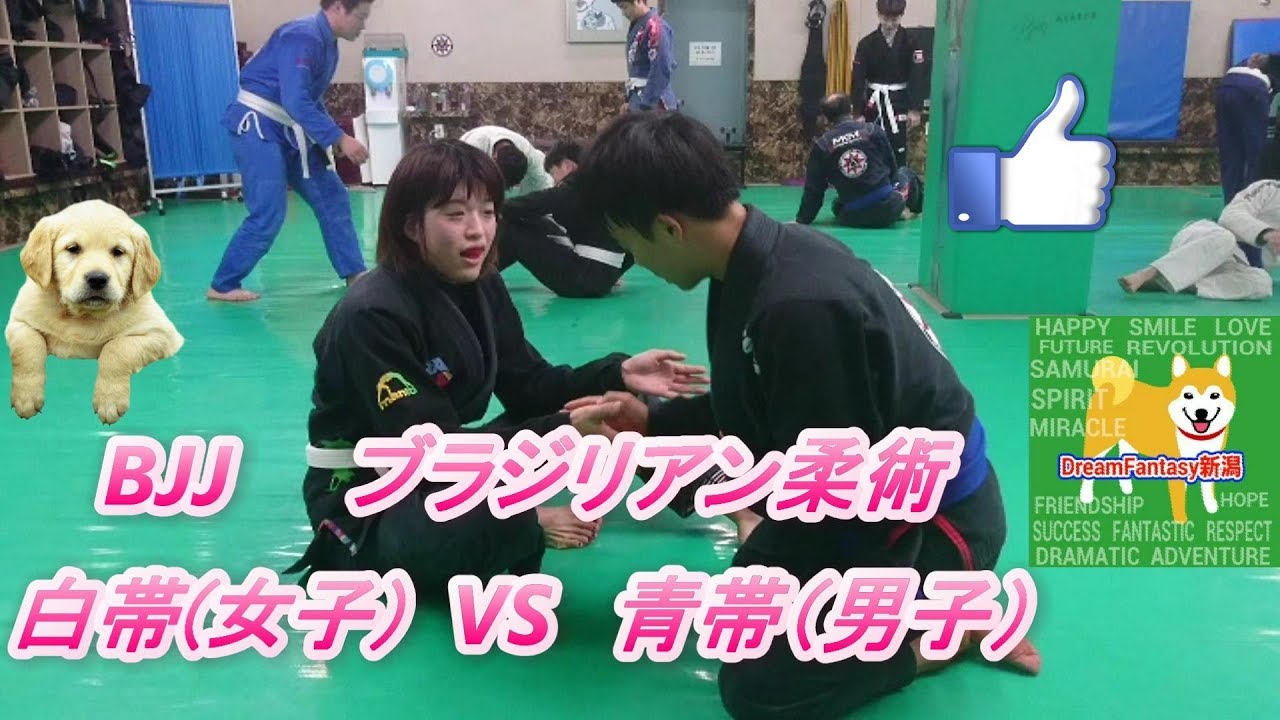 白帯(女子) VS 青帯(男子) ブラジリアン柔術 BJJ   ソウル Seoul 韓国旅行