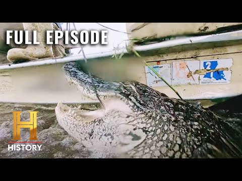 Swamp People: Crazy Cannibal Gator (S11, E11) | Full Episode