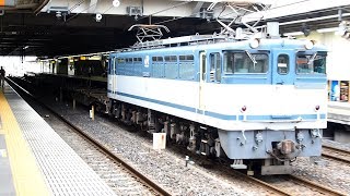 2018/09/13 JR Freight: Container Cars by EF65-2095 at Omiya