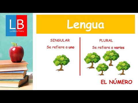 Video: ¿El otorrinolaringólogo es un sustantivo?