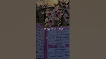 سورة القلم #تلاوة_خاشعة #قران_كريم #اكسبلور #المصحف #لايك
