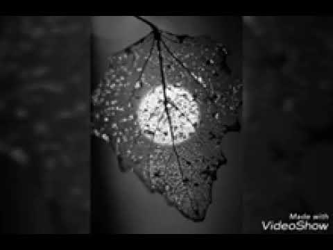 ذكر المحبه بقلبي من ينسيني 