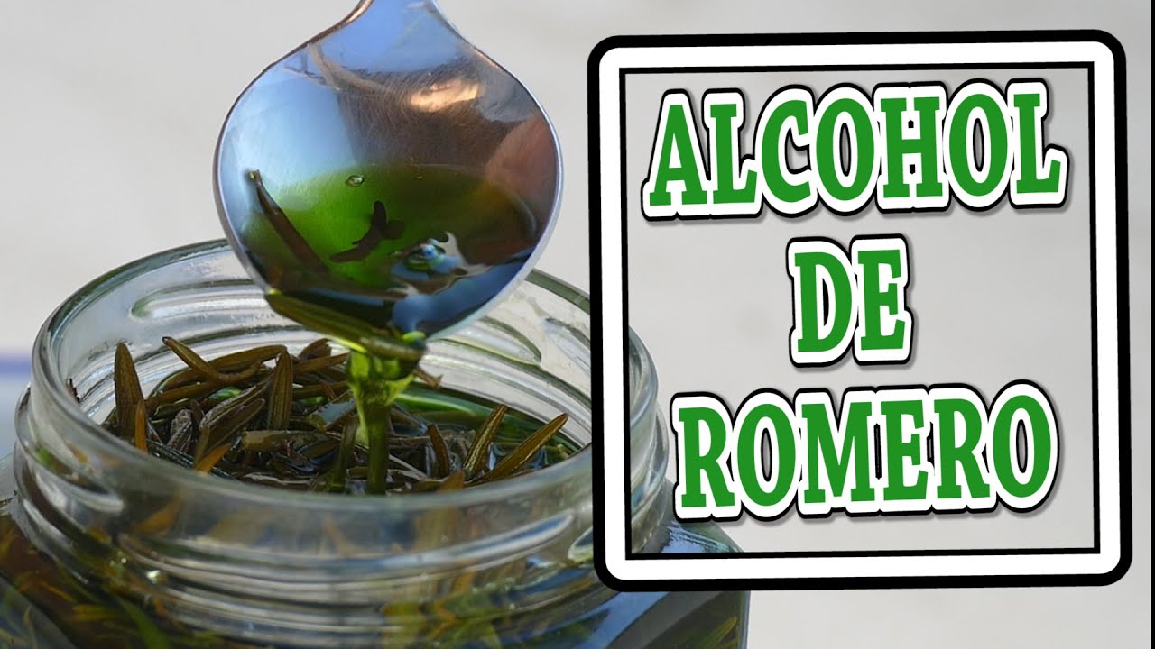 Cómo hacer ALCOHOL de ROMERO? 