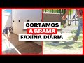 FAXINA DIÁRIA | CORTAMOS A GRAMA FINALMENTE 🙏🏼