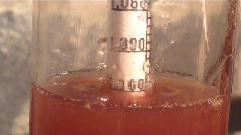 #2 Making Wine (Part 2) Specific Gravity