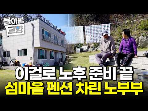 "평생 낙지만 잡고 살다가..." 장봉도 바다에서 낙지 하나로 자식들을 키워내고 이젠 펜션에서 손님 맞으며 행복하게 사는 노부부 이야기 #몰아볼교양