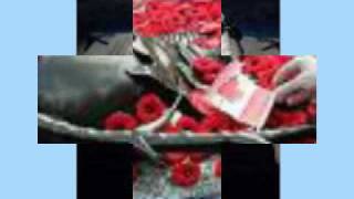 Remembrance Day 2008
