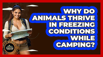 Why Do Animals Thrive In Freezing Conditions While Camping? - Exploring Campgrounds