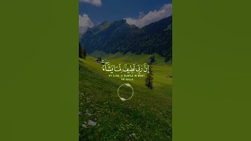 📖سورة يوسف 🎙️محمد هاشم