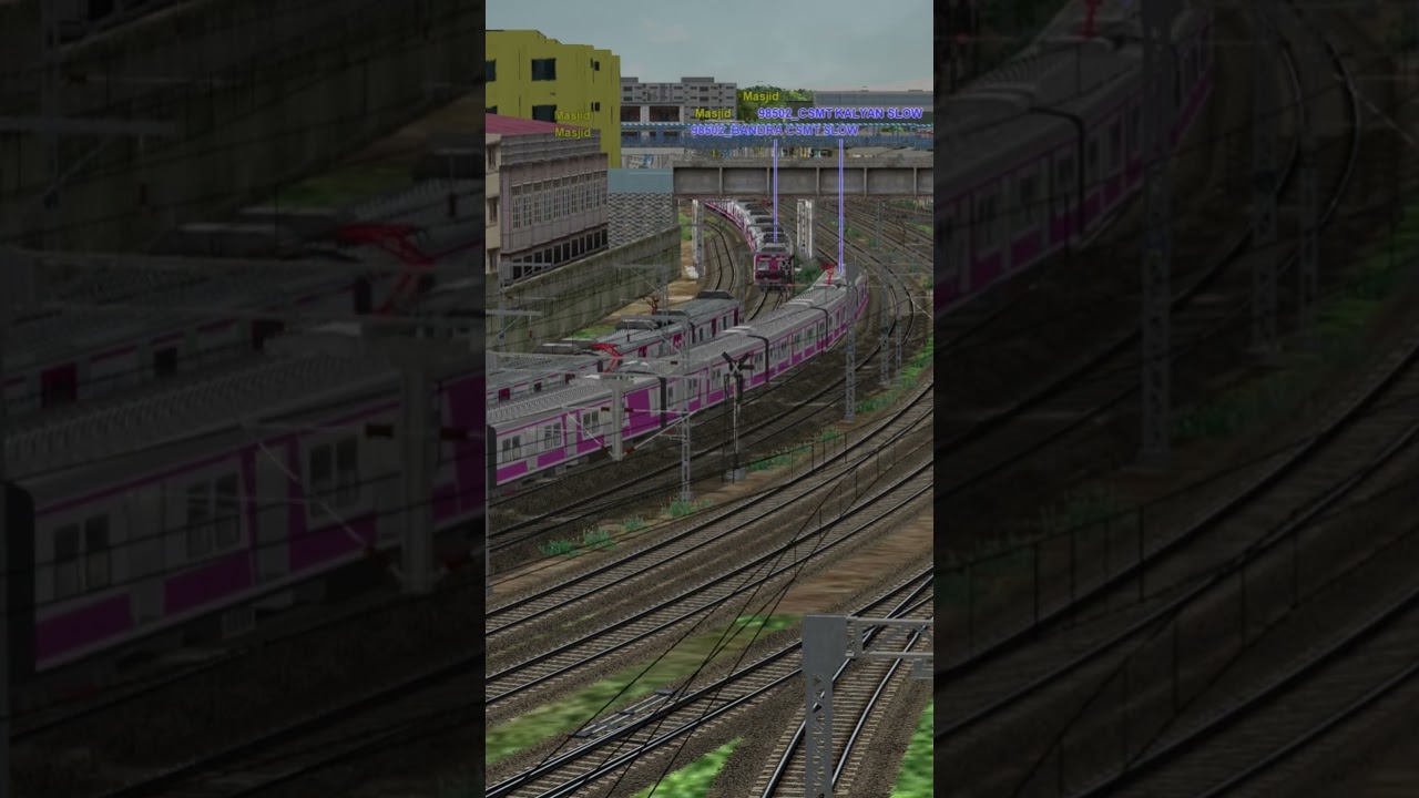 MUMBAI LOCAL TRAINS ACTION | MSTS 