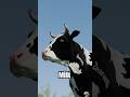 Can Cows Make Purple Milk? ππ₯