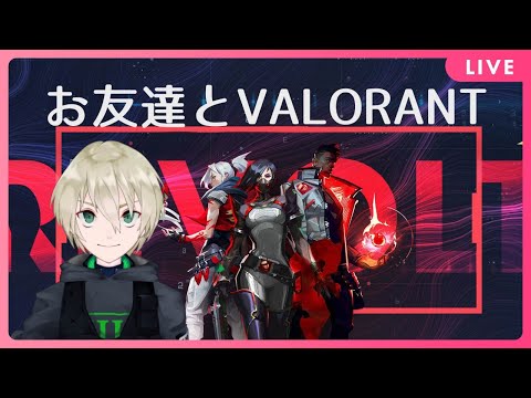 【ALG】お友達とVALO【Vtuber】