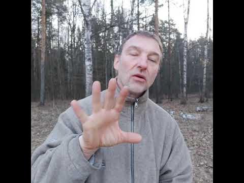 Вишняков психолог. Вишняков психолог. Счастливецкий. Вишняков психолог. Вишняков психолог.