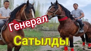 =Генерал= ⭐ Жарым саатта ТАШКЕНТКЕ кетти🤝