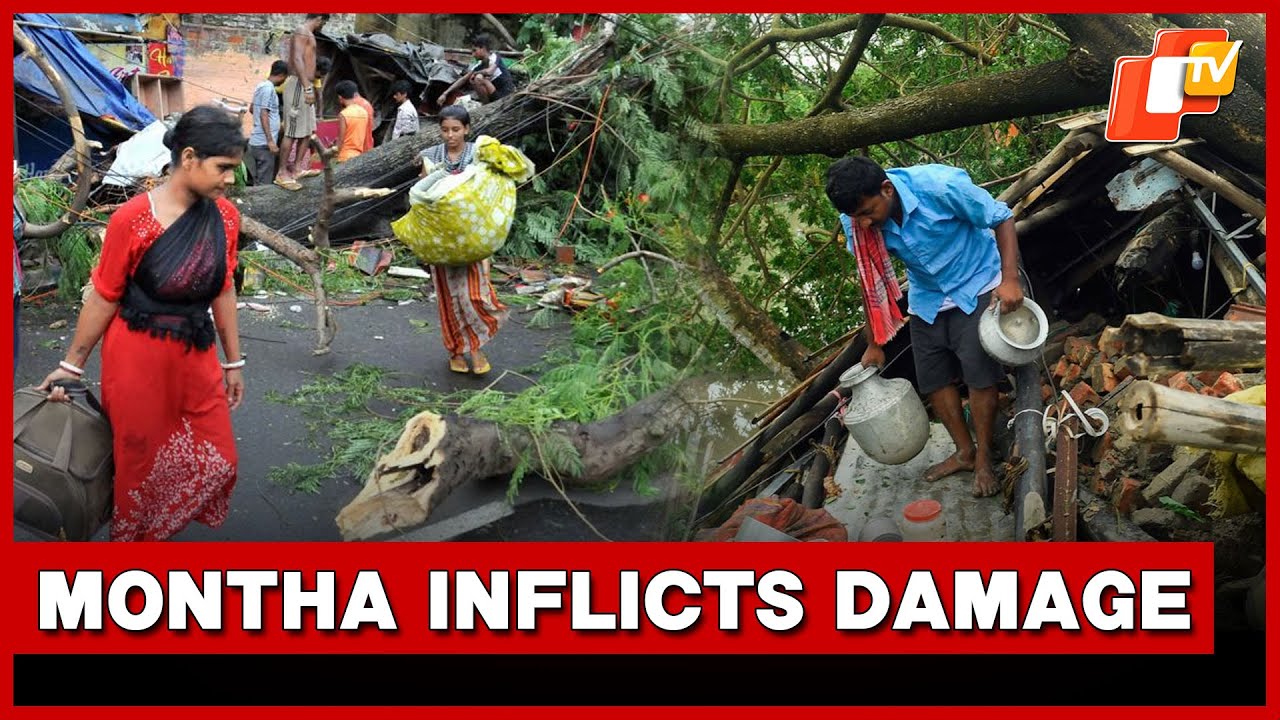 Partial Impact Of Cyclone Montha Causes Significant Damage In Koraput ...