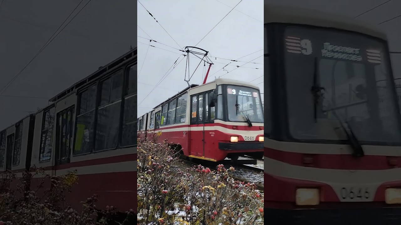 ЛВС-86К №0646 по маршруту 9|Санкт-Петербург 