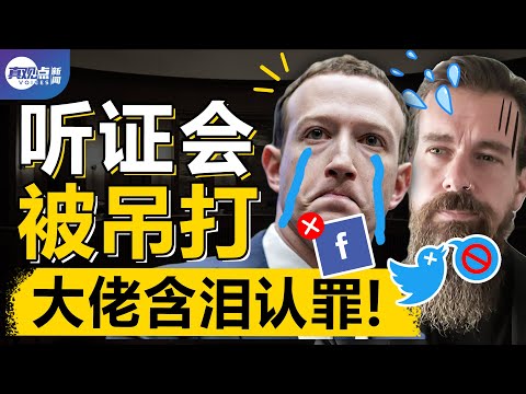 💥臉書推特聽證會亮點合集, 罪證曝光, 看總裁如何被吊打, 史上最解氣聽證會! 川普法律戰艱難, 3大律師兵分多路, 直搗喬州腐敗窩! 真飛