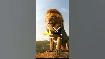 وراك عيله ورايا جيوش ملك الغابه سكارفيس Jungle King Scarface 