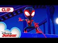 Too much fun  marvels spidey and his amazing friends  disneyjunior