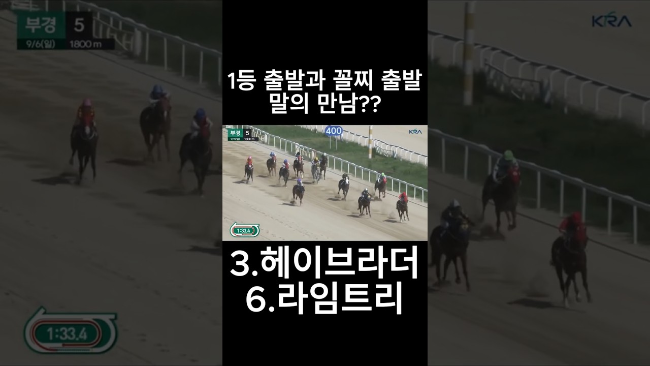 1등 출발과 꼴찌 출발 말의만남    #경마  #경마예상  #경마방송  #경마예상방송  #서울경마  #금요경마  #토요경마  #일요경마 #경마장