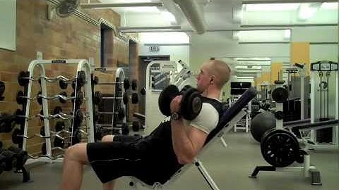 Self Made Exercise Index:  Incline DB Biceps Curls