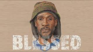 Video thumbnail of "Roots Reggae Riddim"