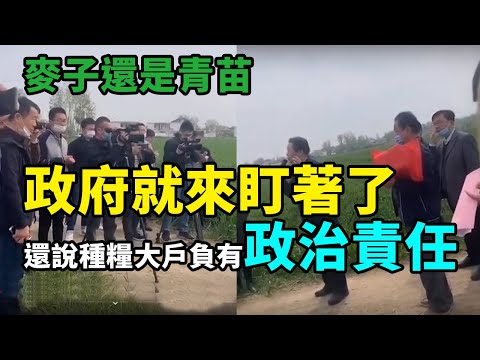 粮食危机 中共官员要农民有政治责任 网民骂翻