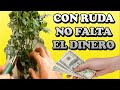 Como utilizar la Ruda para que el dinero no falte este nuevo año 2021