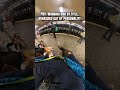 Service Dog Fidget just goofing off on duty in a NYC Subway! #viral #servicedogs #dogs #fyp #nyc #fy