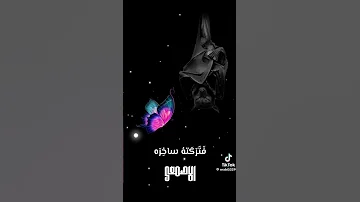 قصيده الخفاش ملكه الفراشه 