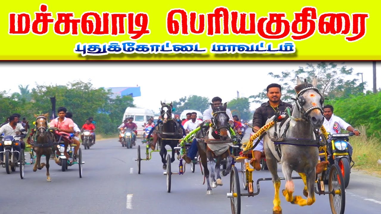 2புதுக்கோட்டை மச்சுவடி 30000 அயிரம் பெரியகுதிரை பந்தயம் 09,02,2025
