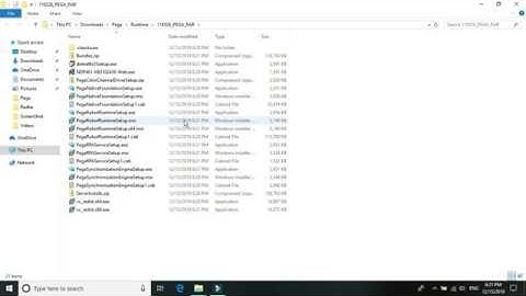 Pega Robotics Package Server and Synchronization Server 19 1 Setup