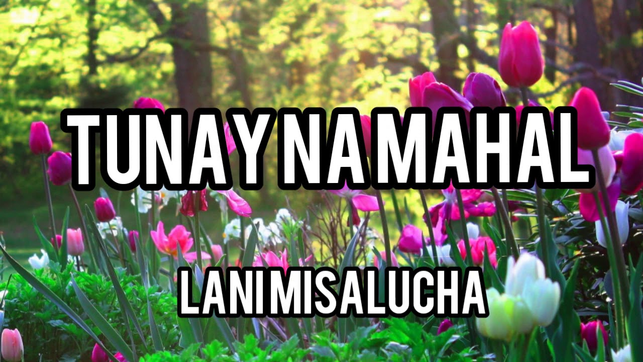 TUNAY NA MAHAL full music with lyrics by Lani Mesalucha