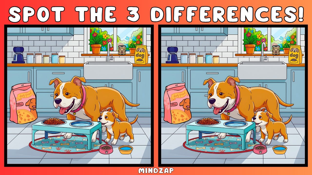 Найдите 3 отличия 🐶 Тема «Собаки» | 5 увлекательных головоломок для тренировки мозга 🧠✨