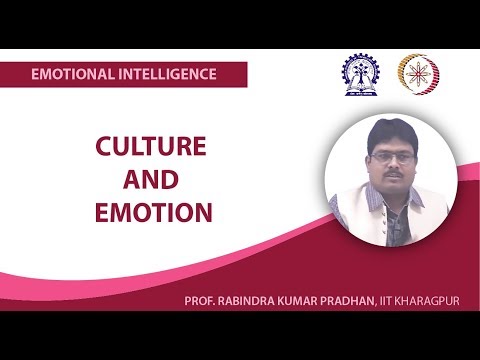 Regulation Of Feelings And Expressions For Organizational Purposes. - Culture and Emotion