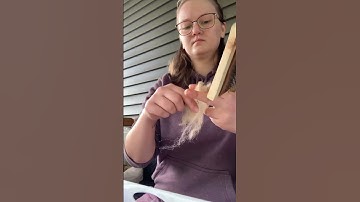 Let’s get this alpaca fleece processed#fibreartist  #processingfleece #chronicallyillartist  #audhd