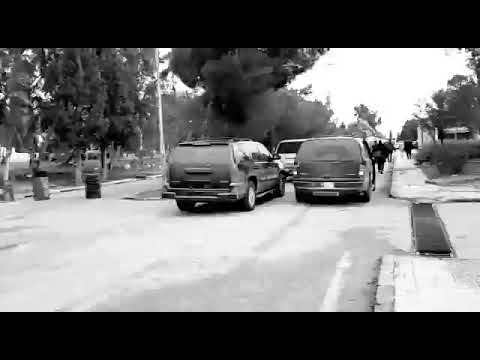 موكب نوح زعيتر 