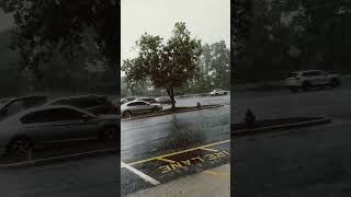 rainy day new bern nc