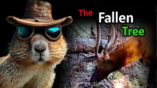 The Fallen Tree