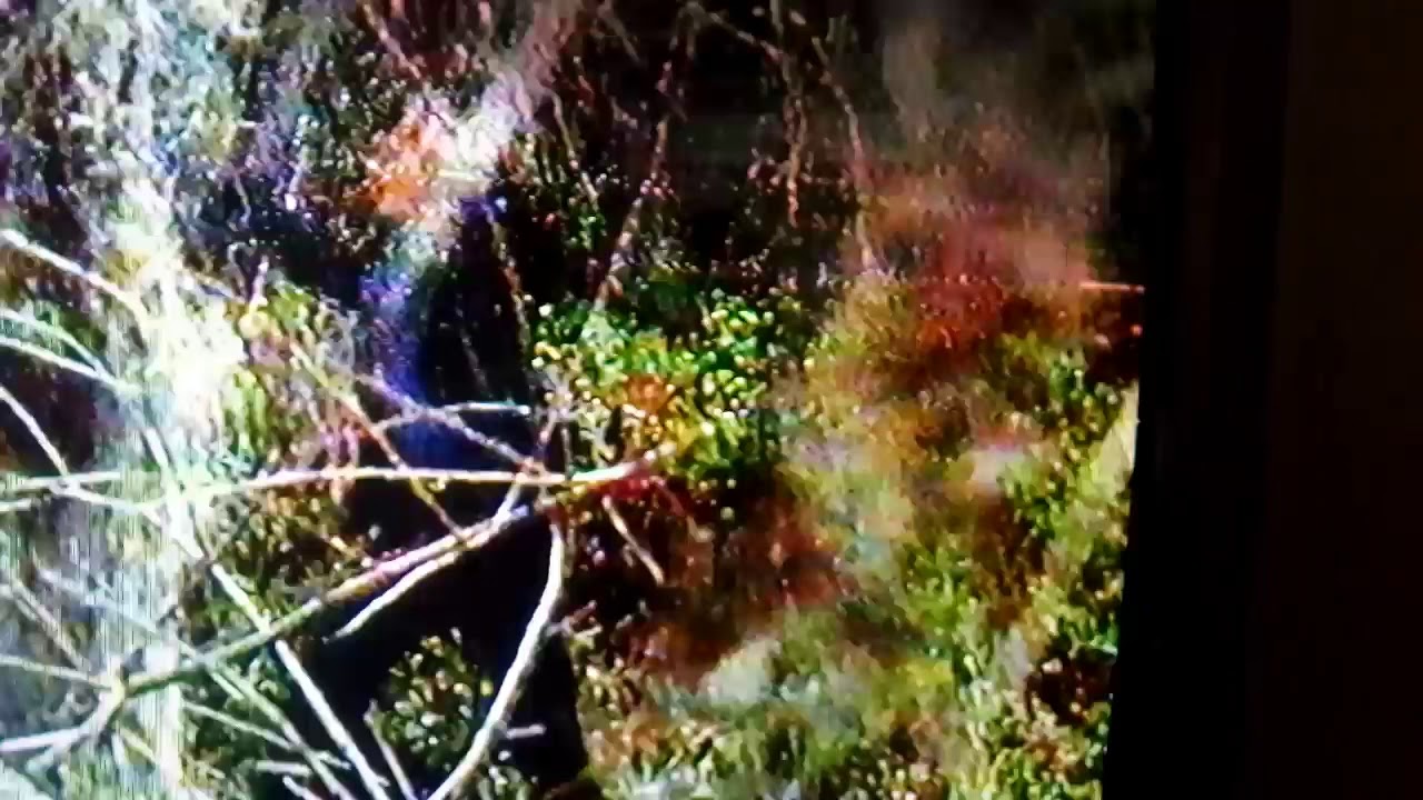 Das Vierte Knight Rider intro