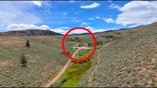 I  Almost Backed Out! If I Didn't Take This Trail, I Never Would Have Found This!