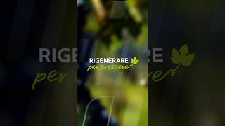 Rigenerare per crescere: verso una viticoltura rigenerativa
