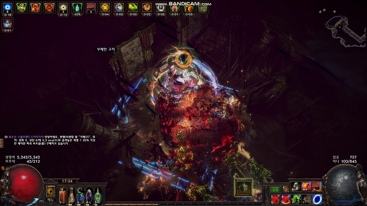 3.9 Assassin Coc Purifying